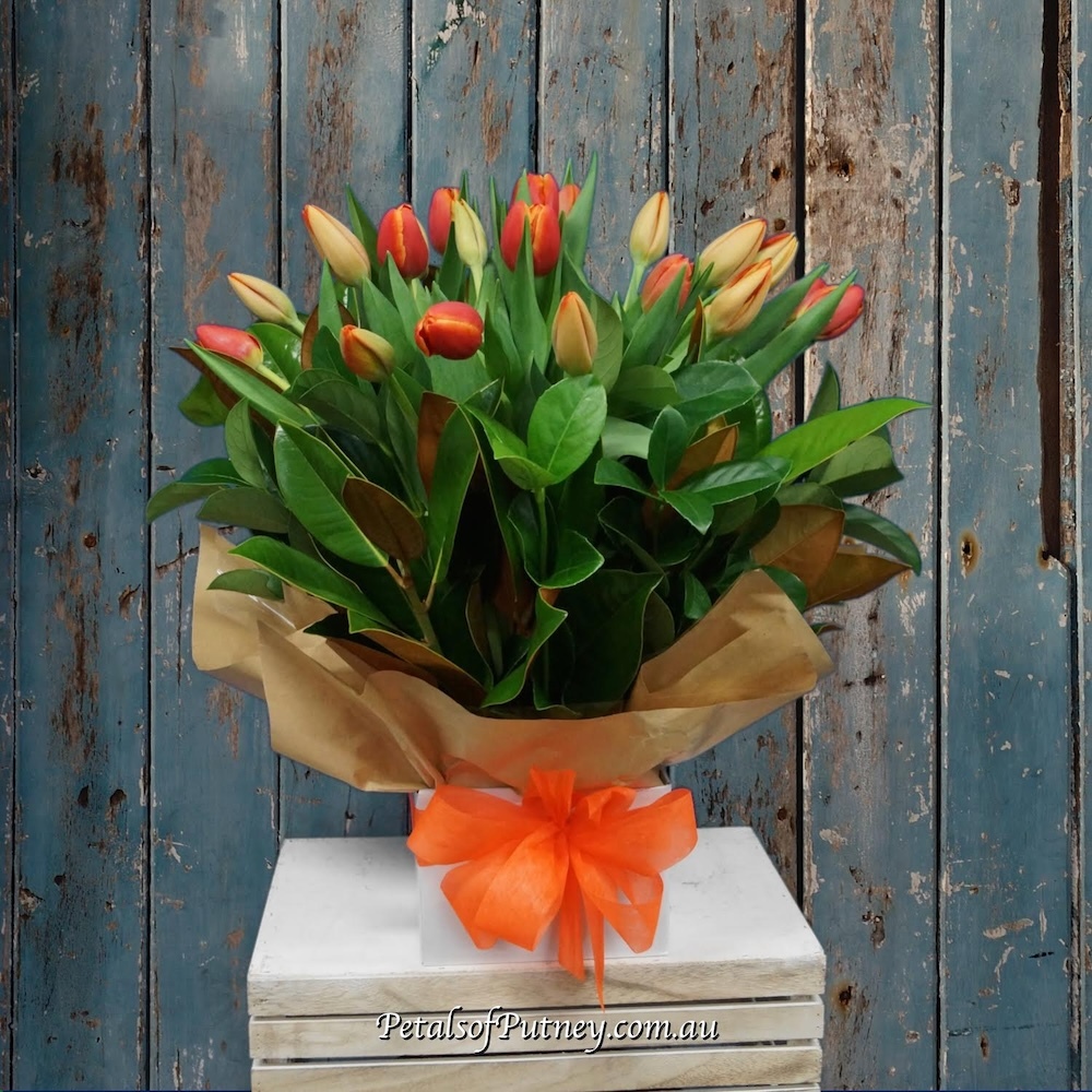 Tulip Fun