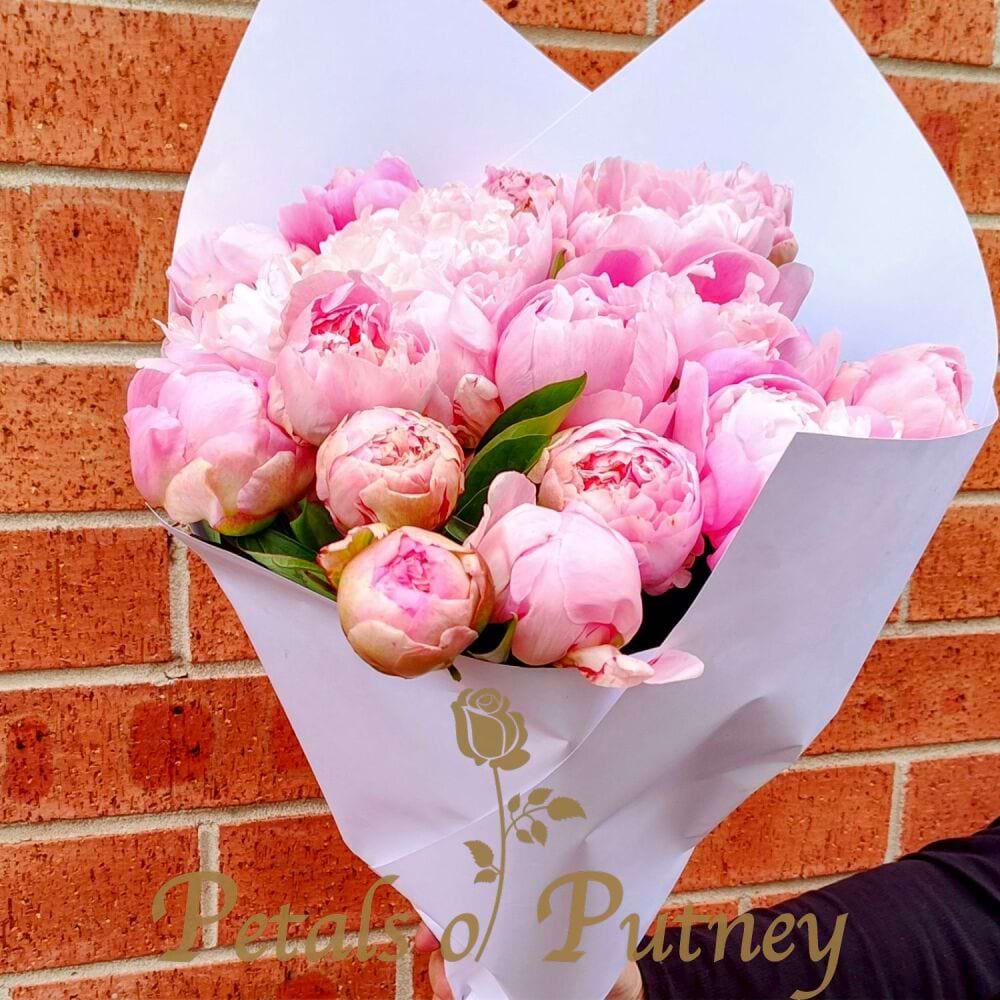 20 Peonies