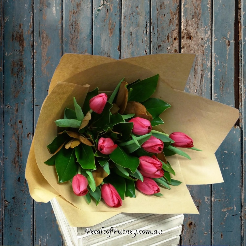 Tender Tulips
